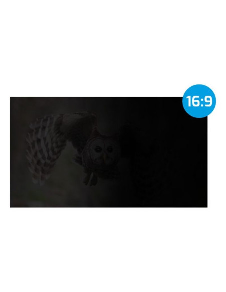 Natec filtr prywatyzujący owl 17.3" 16:9