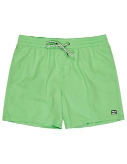 Billabong all day layback 16" shorts ebyjv00134-ggj0 zielone l