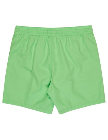 Billabong all day layback 16" shorts ebyjv00134-ggj0 zielone l