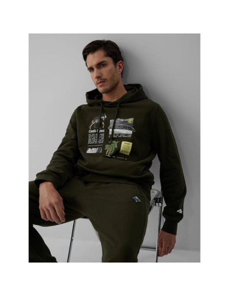 Bluza dresowa regular z kapturem męska 4f 4fraw26tswsm3162-43s