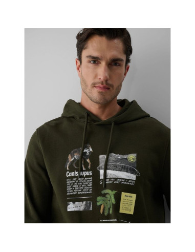 Bluza dresowa regular z kapturem męska 4f 4fraw26tswsm3162-43s