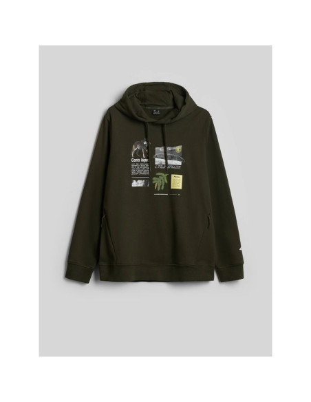 Bluza dresowa regular z kapturem męska 4f 4fraw26tswsm3162-43s