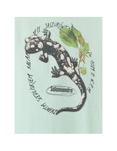 T-shirt regular z nadrukiem męski 4f 4fkaw26ttshm4474-47s