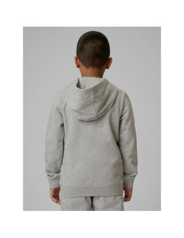 Bluza dresowa regular z kapturem chłopięca 4f 4fjrmm00tswsm2747-25m