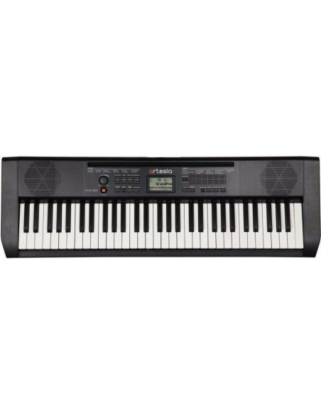 Artesia ma-88 - keyboard