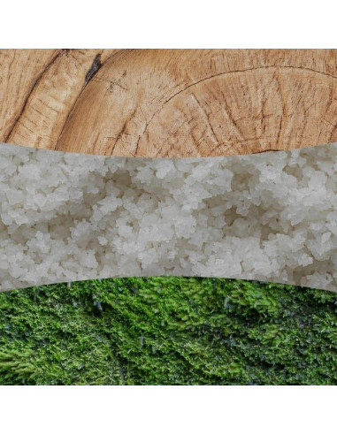 Świeca elipsa white teak woodwick