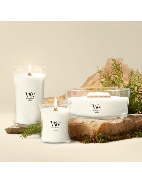 Świeca elipsa white teak woodwick