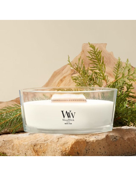 Świeca elipsa white teak woodwick