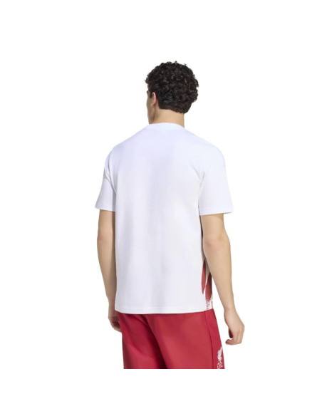 Koszulka z grafiką adidas liverpool fc kg2891