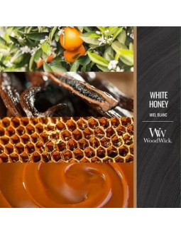 Świeca średnia white honey woodwick