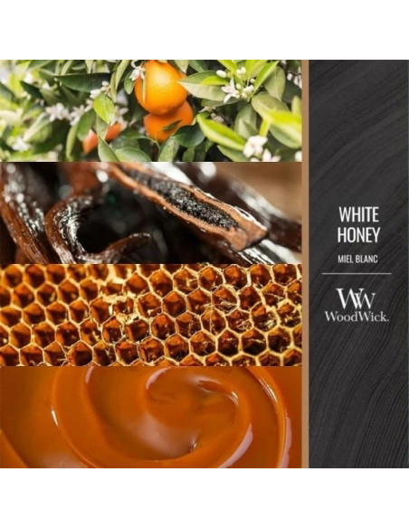 Świeca średnia white honey woodwick