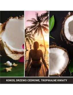 Zawieszka samochodowa black coconut yankee
