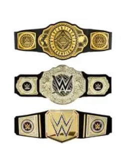 Wwe hny41 gra na role