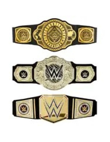 Wwe hny41 gra na role