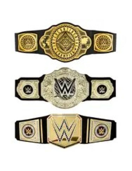 Wwe hny41 gra na role