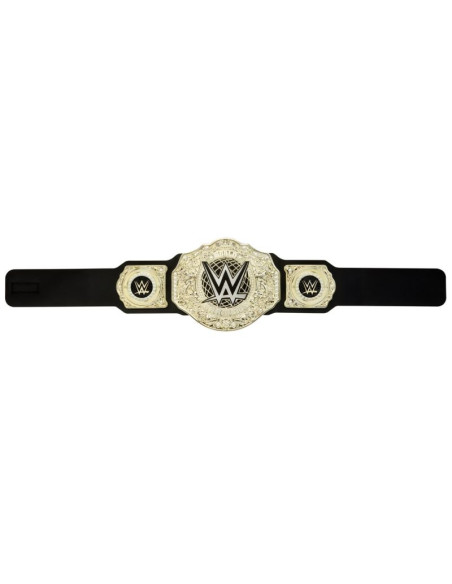 Wwe hny41 gra na role