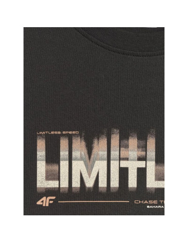 T-shirt regular z nadrukiem męski 4f 4frss26ttshm4227-20s