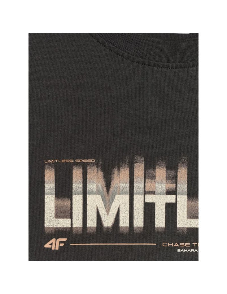 T-shirt regular z nadrukiem męski 4f 4frss26ttshm4227-20s