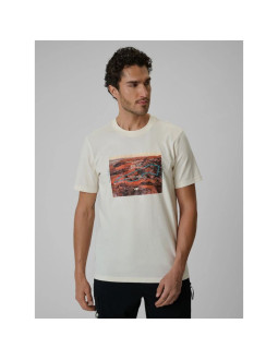 T-shirt regular z nadrukiem męski 4f 4frss26ttshm4238-11s
