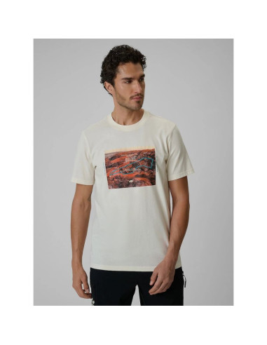 T-shirt regular z nadrukiem męski 4f 4frss26ttshm4238-11s