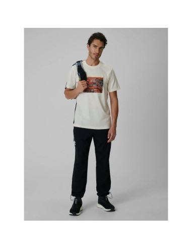 T-shirt regular z nadrukiem męski 4f 4frss26ttshm4238-11s