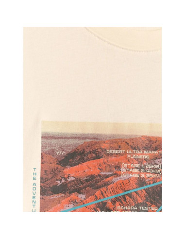 T-shirt regular z nadrukiem męski 4f 4frss26ttshm4238-11s