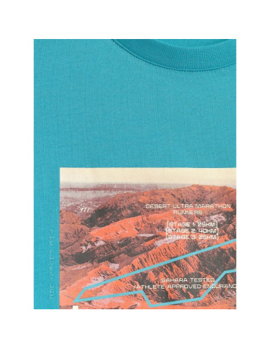 T-shirt regular z nadrukiem męski 4f 4frss26ttshm4238-35s