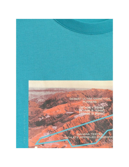 T-shirt regular z nadrukiem męski 4f 4frss26ttshm4238-35s
