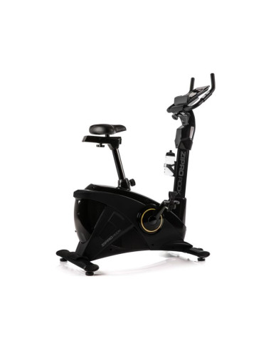Zipro rook gold trenażer rowerowy magnetyczny