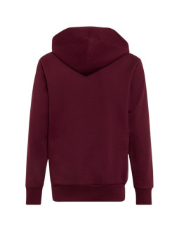 Bluza dla dzieci adidas essentials hoodie bordowa kt3380 2