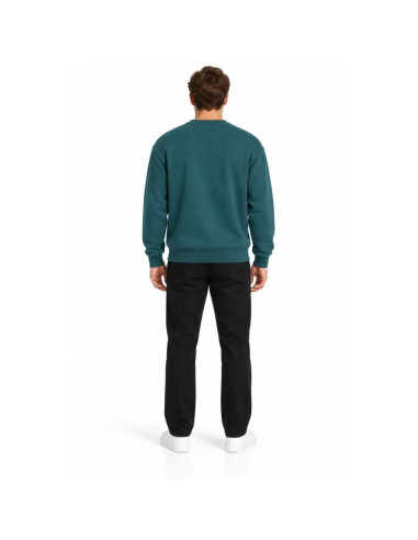 Bluza z okrągłym dekoltem nierozpinana męska 4f 4fwaw26tswsm2736-46s