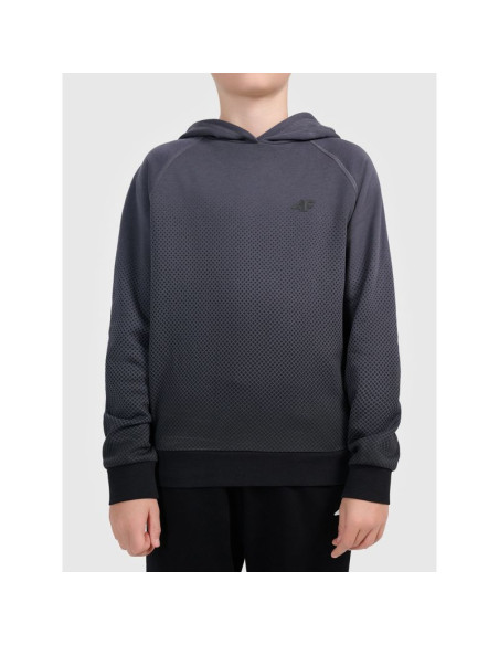Bluza z kapturem z nadrukiem całopowierzchniowym chłopięca 4f 4fjwaw26tswsm2687-95a
