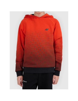 Bluza z kapturem z nadrukiem całopowierzchniowym chłopięca 4f 4fjwaw26tswsm2687-94a