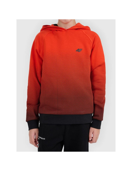 Bluza z kapturem z nadrukiem całopowierzchniowym chłopięca 4f 4fjwaw26tswsm2687-94a