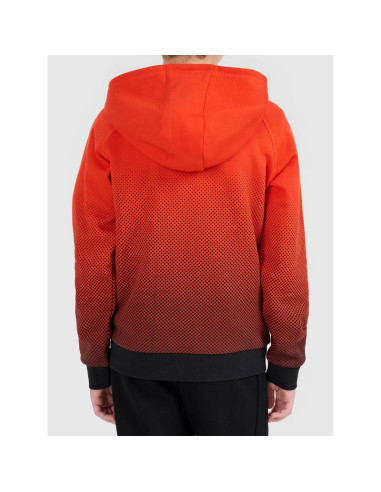 Bluza z kapturem z nadrukiem całopowierzchniowym chłopięca 4f 4fjwaw26tswsm2687-94a