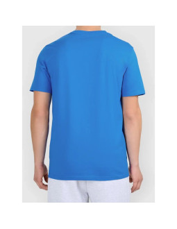 T-shirt z nadrukiem męski 4f 4fwaw26ttshm3578-33s 2
