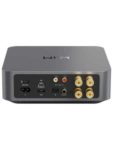 Wiim amp dark grey - wzmacniacz