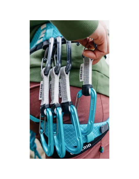 Edelrid 737930106020 karabińczyk do wspinaczki zapięcie z blokadą w kształcie litery d niebieski, srebrny 6 szt.