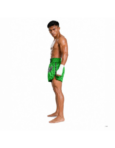 Spodenki tajskie męskie pastel green v2 combatwear | dbx bushido