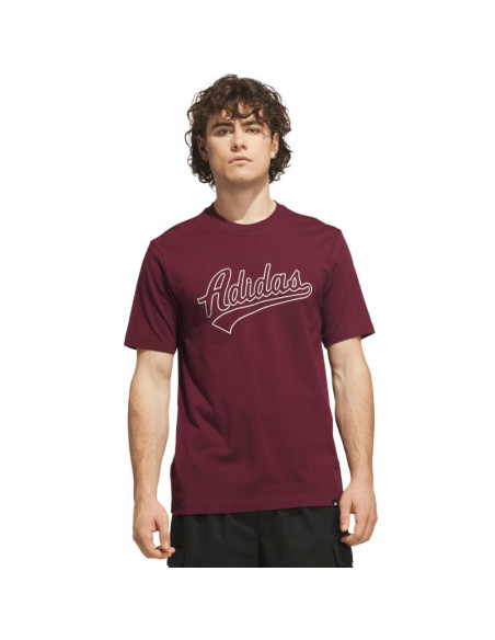 Koszulka męska adidas varsity tailsweep graphic bordowa ks2180