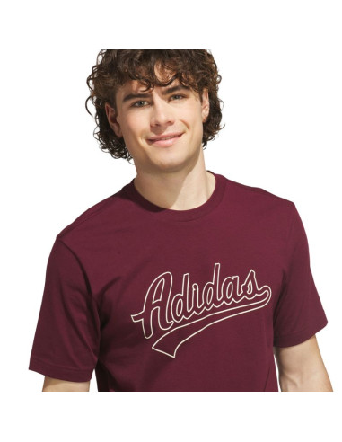 Koszulka męska adidas varsity tailsweep graphic bordowa ks2180