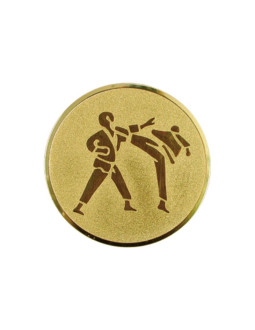 Wklejka aluminiowa - karate