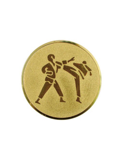 Wklejka aluminiowa - karate 2