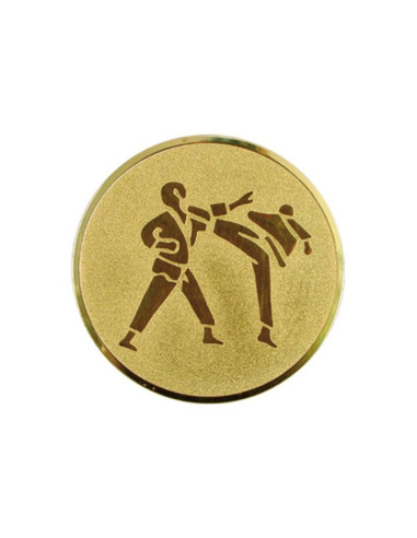 Wklejka aluminiowa - karate