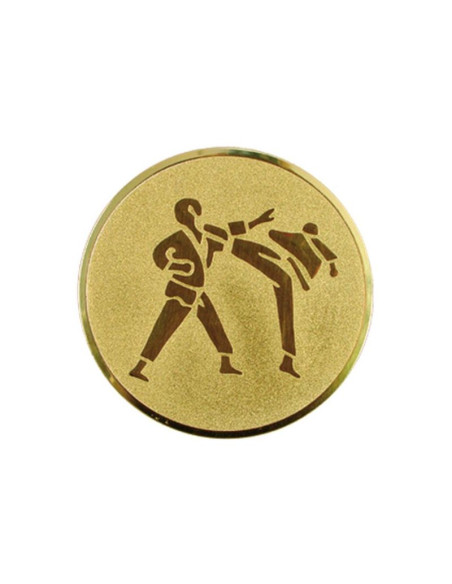 Wklejka aluminiowa - karate