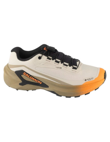 Salomon genesis 2 gtx w l45388200 brązowe 37 1/3