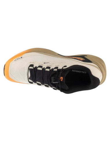 Salomon genesis 2 gtx w l45388200 brązowe 37 1/3
