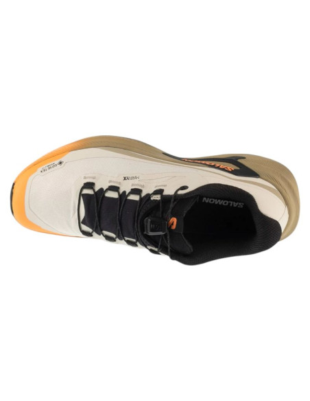 Salomon genesis 2 gtx w l45388200 brązowe 37 1/3
