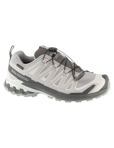 Salomon xa pro 3d v9 gtx w l45412000 szare 36 2/3