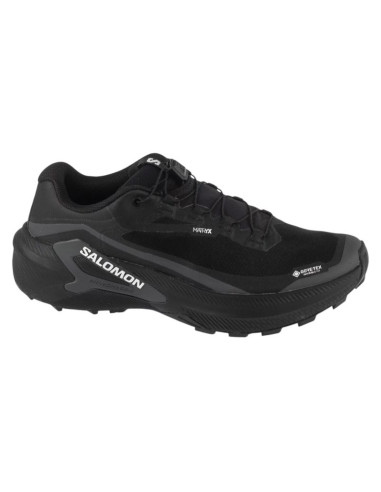 Salomon genesis 2 gtx l49300300 czarne 41 1/3